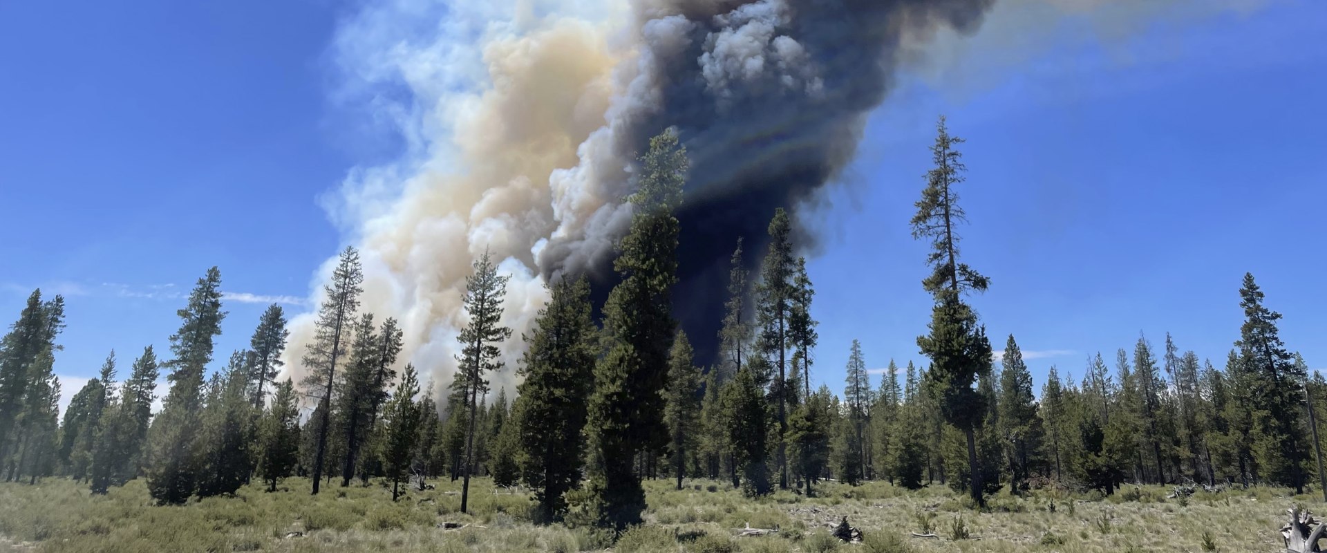 The Impact of Organizations on Central Oregon's Economy
