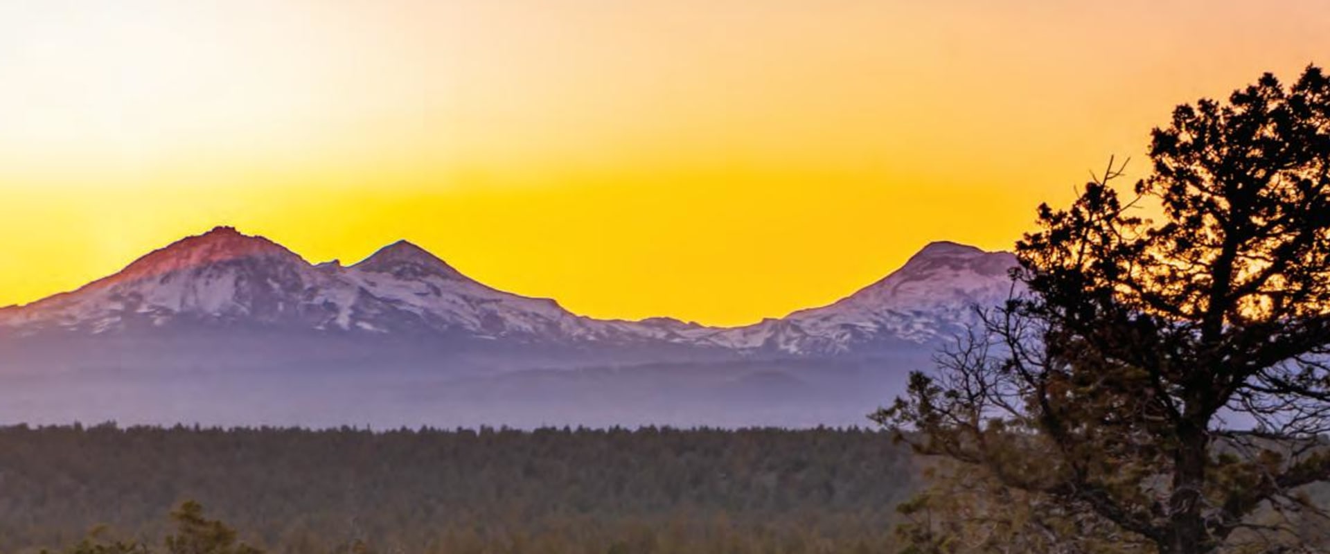 Exploring the Vibrant Organizations of Central Oregon