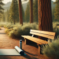 The Impact of Healthcare and Wellness Organizations in Central Oregon