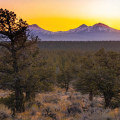 Exploring the Vibrant Organizations of Central Oregon