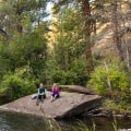 The Impact of Organizations in Central Oregon