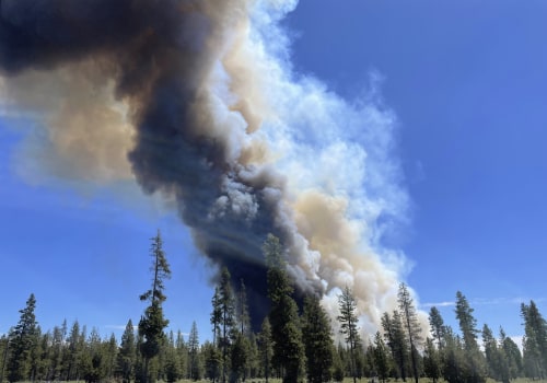 The Impact of Organizations on Central Oregon's Economy