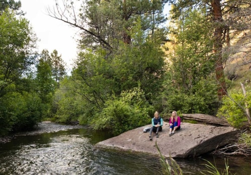 The Impact of Organizations in Central Oregon
